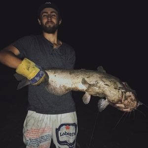 Meet your Posher, Joey